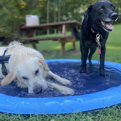 Piscina y Rociador para mascotas