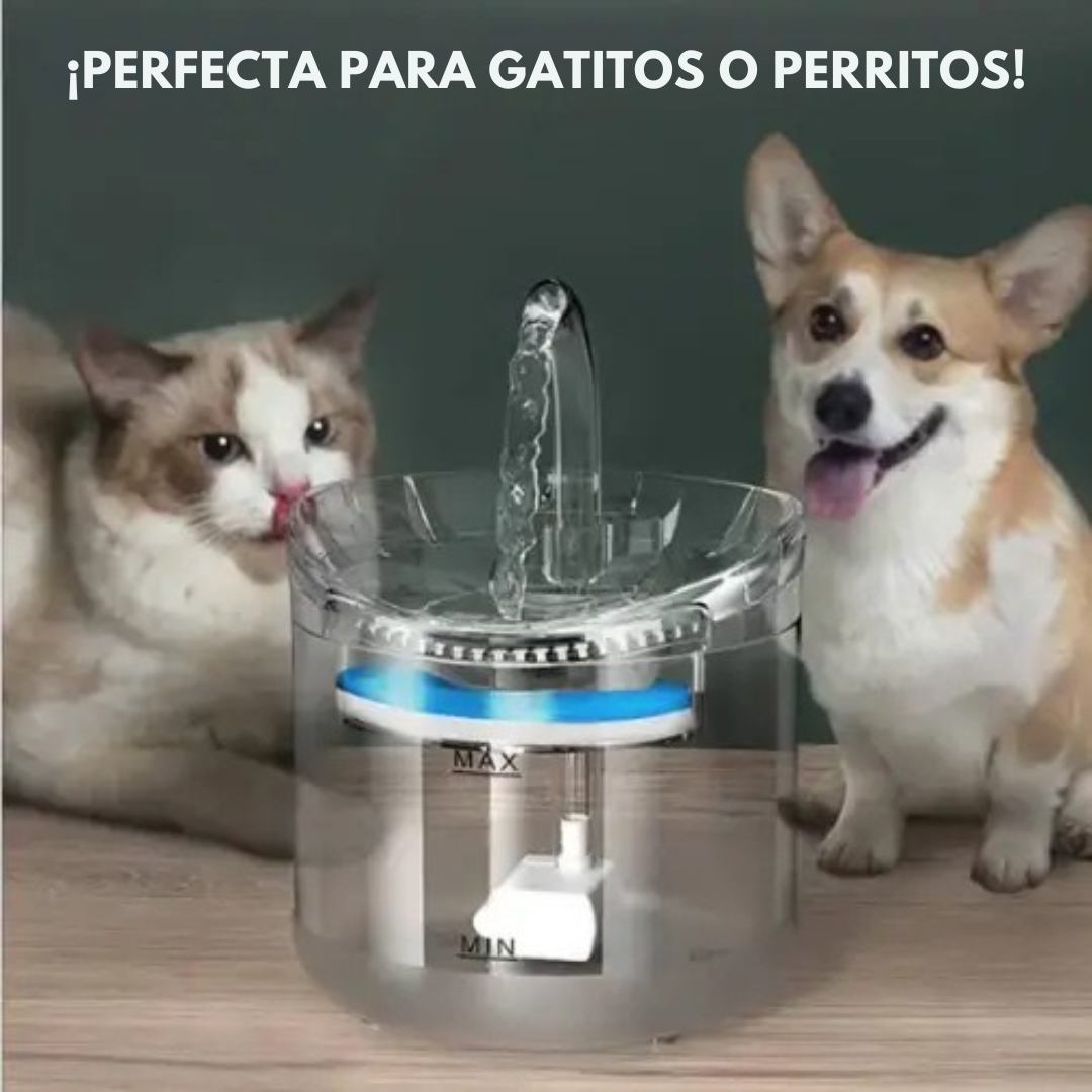 Fuente de Agua para Gatos y mascotas