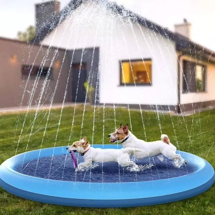 Piscina y Rociador para mascotas